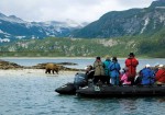 Wild Alaska Cruise